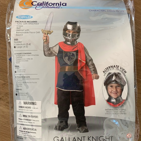 Knight in shining armor - Picture 2 of 2